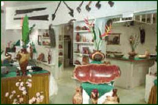 Daintree Timber Gallery